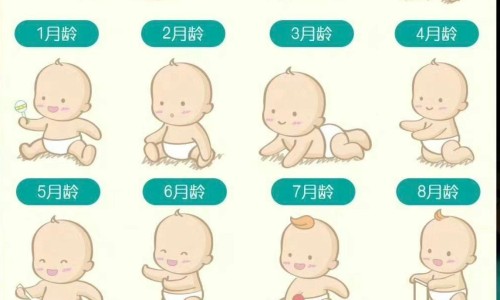 米曲菌胰酶片能治胃酸吗-权威米曲菌米曲菌胰酶片平台,分享专业米曲菌胰酶的害处知识_米曲菌胰酶效果网